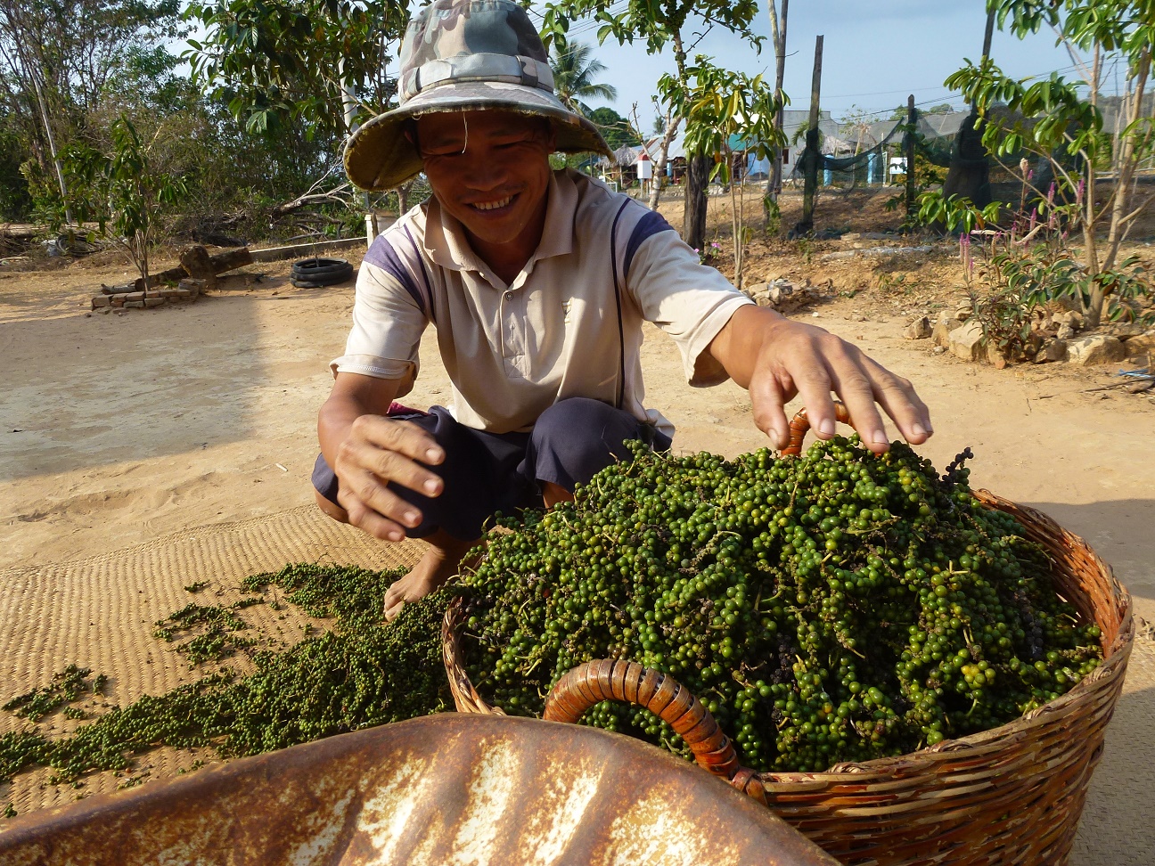 20 Vietnam: Da, wo der Pfeffer wächst 1